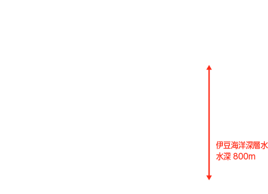 伊豆海洋深層水